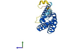 AlphaFold protein structure predicition of Mouse Recombinant Tspan1 Protein, UniprotID Q99J59