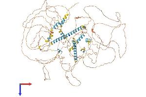 Nuclear Receptor Interacting Protein 1 (NRIP1) (AA 1-1158) protein (His tag)