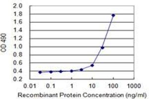 Sandwich ELISA detection sensitivity ranging from 1 ng/mL to 100 ng/mL. (SPINK1 (Humain) Matched Antibody Pair)