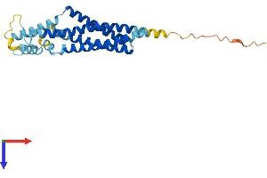 AlphaFold protein structure predicition of Mouse Recombinant Tspan32 Protein, UniprotID Q9JHH2