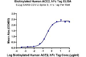 Immobilized SARS-COV-2 Spike S at 2 μg/mL (100 μL/Well) on the plate.