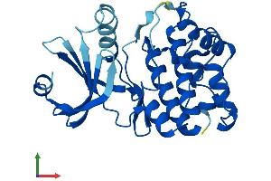 AlphaFold protein structure predicition of Human Recombinant TSSK3 Protein, UniprotID Q96PN8