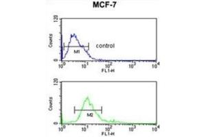 Flow Cytometry (FACS) image for anti-IMP (Inosine 5'-Monophosphate) Dehydrogenase 2 (IMPDH2) antibody (ABIN3003184) (IMPDH2 anticorps)