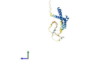 AlphaFold protein structure predicition of Human Recombinant HES7 Protein, UniprotID Q9BYE0
