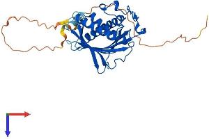 AlphaFold protein structure predicition of Human Recombinant PITPNC1 Protein, UniprotID Q9UKF7