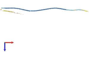 AlphaFold protein structure predicition of Human Recombinant CCDC89 Protein, UniprotID Q8N998