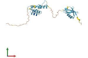 AlphaFold protein structure predicition of Human Recombinant UBTD1 Protein, UniprotID Q9HAC8