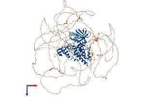 AlphaFold protein structure predicition of Mouse Recombinant Hipk1 Protein, UniprotID O88904