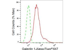 Flow cytometric analysis of Galectin 1 expression in C2C12 cells using Galectin 1 antibody (ABIN7799242), 1:2,000). (Recombinant LGALS1/Galectin 1 anticorps)