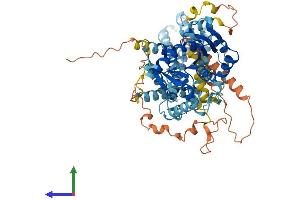 AlphaFold protein structure predicition of Human Recombinant DAGLB Protein, UniprotID Q8NCG7