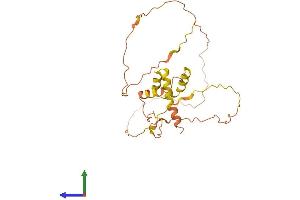 AlphaFold protein structure predicition of Human Recombinant FAM220A Protein, UniprotID Q7Z4H9
