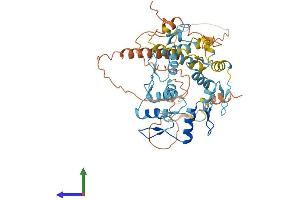 AlphaFold protein structure predicition of Human Recombinant ZNF230 Protein, UniprotID Q9UIE0