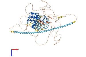 AlphaFold protein structure predicition of Mouse Recombinant Tnik Protein, UniprotID P83510
