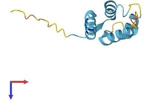 AlphaFold protein structure predicition of Mouse Recombinant S100a14 Protein, UniprotID Q9D2Q8