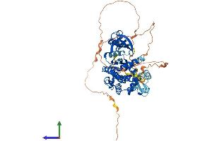 AlphaFold protein structure predicition of Mouse Recombinant Pak3 Protein, UniprotID Q61036