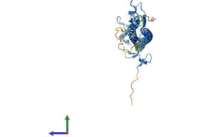 AlphaFold protein structure predicition of Mouse Recombinant Trim40 Protein, UniprotID Q3UWA4