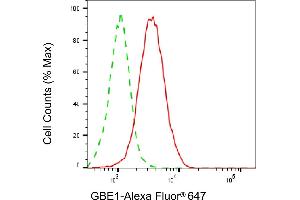 Flow cytometric analysis of GBE1 expression in HepG2 cells using GBE1 antibody (ABIN7798727), 1:1,000).