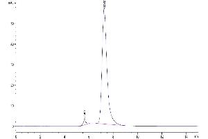The purity of Human IL-1R3 is greater than 95 % as determined by SEC-HPLC.