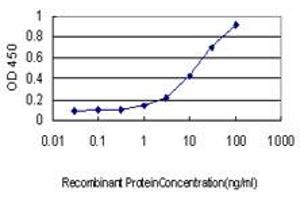 Detection limit for recombinant GST tagged PSMB4 is approximately 0.