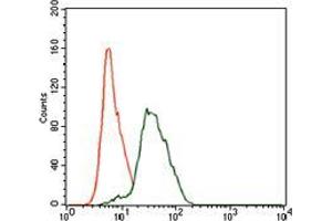 Flow cytometric analysis of HeLa cells using TWF1 mouse mAb (green) and negative control (red).