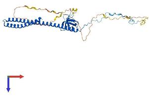 AlphaFold protein structure predicition of Human Recombinant ABI3 Protein, UniprotID Q9P2A4