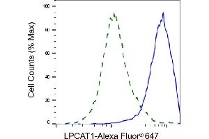 Flow cytometric analysis of LPCAT1 expression in HepG2 cells using LPCAT1 antibody (ABIN7799305), 1:2,000).