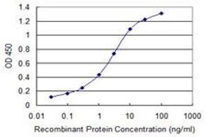Detection limit for recombinant GST tagged GLS is 0. (Glutaminase anticorps  (AA 580-669))
