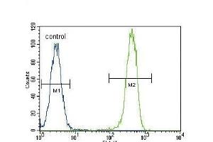 PCNA Antibody (Center) (ABIN389345 and ABIN2839454) flow cytometric analysis of Hela cells (right histogram) compared to a negative control cell (left histogram).