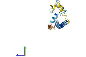 AlphaFold protein structure predicition of Human Recombinant FAM167B Protein, UniprotID Q9BTA0