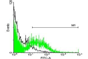 FACS analysis of TOV-21G cells stained with STIP1 monoclonal antibody clone 2E11 (Green) and non-stained TOV-21G cells (Black) as negative control.