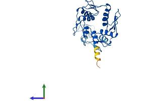 AlphaFold protein structure predicition of Human Recombinant ZNF664 Protein, UniprotID Q8N3J9