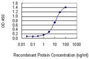 Detection limit for recombinant GST tagged TBX22 is 0.