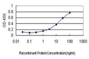 Detection limit for recombinant GST tagged RAB17 is approximately 1ng/ml as a capture antibody. (RAB17 anticorps  (AA 1-212))