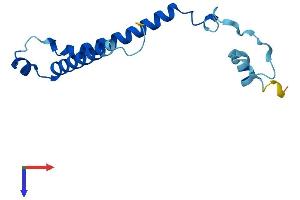 AlphaFold protein structure predicition of Mouse Recombinant Pigp Protein, UniprotID Q9JHG1