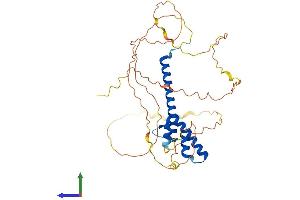 AlphaFold protein structure predicition of Human Recombinant NEUROD2 Protein, UniprotID Q15784
