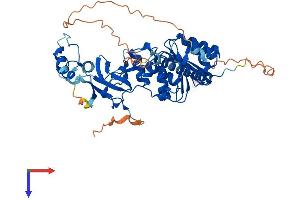 AlphaFold protein structure predicition of Human Recombinant TRMT6 Protein, UniprotID Q9UJA5