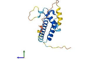 AlphaFold protein structure predicition of Mouse Recombinant Thrsp Protein, UniprotID Q62264