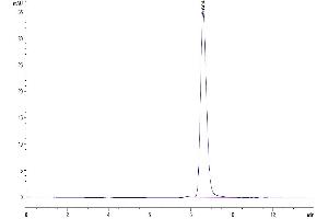The purity of Cynomolgus B7-1 is greater than 95 % as determined by SEC-HPLC. (CD80 Protein (CD80) (AA 35-242) (His tag))