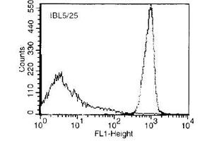 Image no. 1 for anti-Protein tyrosine Phosphatase, Receptor Type, C (PTPRC) antibody (Biotin) (ABIN307709)