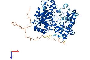 AlphaFold protein structure predicition of Human Recombinant SPTLC3 Protein, UniprotID Q9NUV7