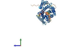 AlphaFold protein structure predicition of Human Recombinant SLC38A3 Protein, UniprotID Q99624