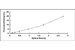 Typical standard curve (MLKL Kit ELISA)