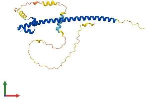 AlphaFold protein structure predicition of Human Recombinant NRL Protein, UniprotID P54845