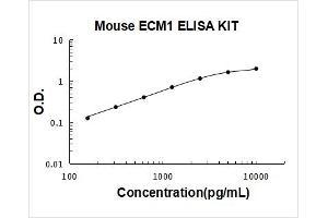 Extracellular Matrix Protein 1 (ECM1) ELISA Kit