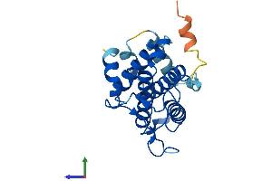 AlphaFold protein structure predicition of Mouse Recombinant Mob3a Protein, UniprotID Q8BSU7