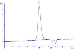 The purity of Human VEGF110, Tag Free (Hied) (ABIN4948987,ABIN4948990,ABIN6810029) was greater than 90 % as determined by . (VEGF110 (AA 27-136) (Active) Protéine)