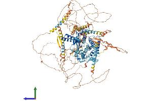 AlphaFold protein structure predicition of Human Recombinant CNGB1 Protein, UniprotID Q14028