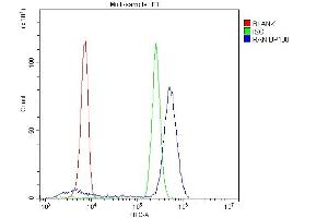 Flow Cytometry analysis of U937 cells using anti-Ran antibody (ABIN5518950). (RAN anticorps  (AA 2-216))