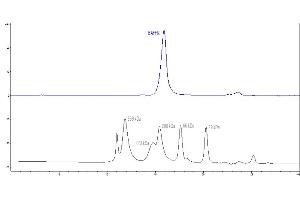 The purity of Mouse BAFFR, Fc Tag (ABIN5526590,ABIN5526591) was greater than 95 % as determined by .