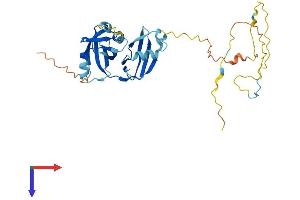 AlphaFold protein structure predicition of Human Recombinant UFD1 Protein, UniprotID Q92890